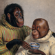 Illustration for article titled Lets Not Be Too Quick to Judge the Orangutans Embroiled in This Paternity Scandal